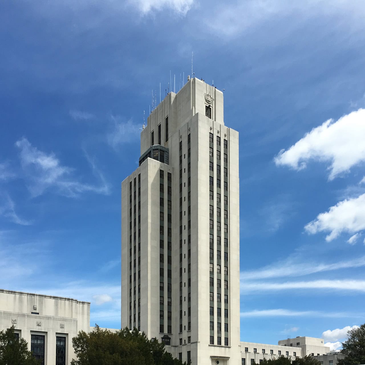 Primary Path Branding at VA Bay Pines